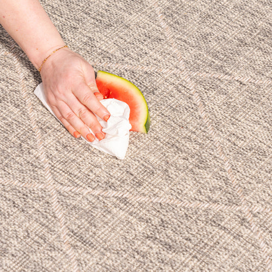 HOW TO CLEAN AN OUTDOOR RUG